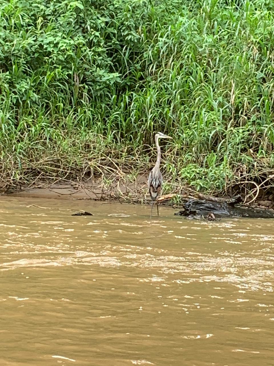 Tortuguero WhatsApp Image 2025-12-06 at 11.40.44 AM